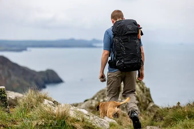 Best Hiking Backpacks: How to Choose the Right Pack for Every Trail best hiking backpacks
